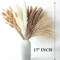 Dried Pampas Grass Decor, 100 PCS Pampas Grass Contains Bunny Tails Dried Flowers, Reed Grass Bouquet for Wedding Boho Flowers Home Table Decor, Rustic Farmhouse Party (White and Brown)